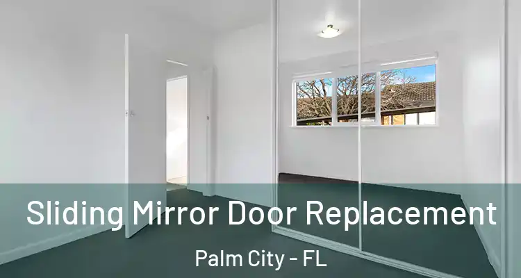  Sliding Mirror Door Replacement Palm City - FL